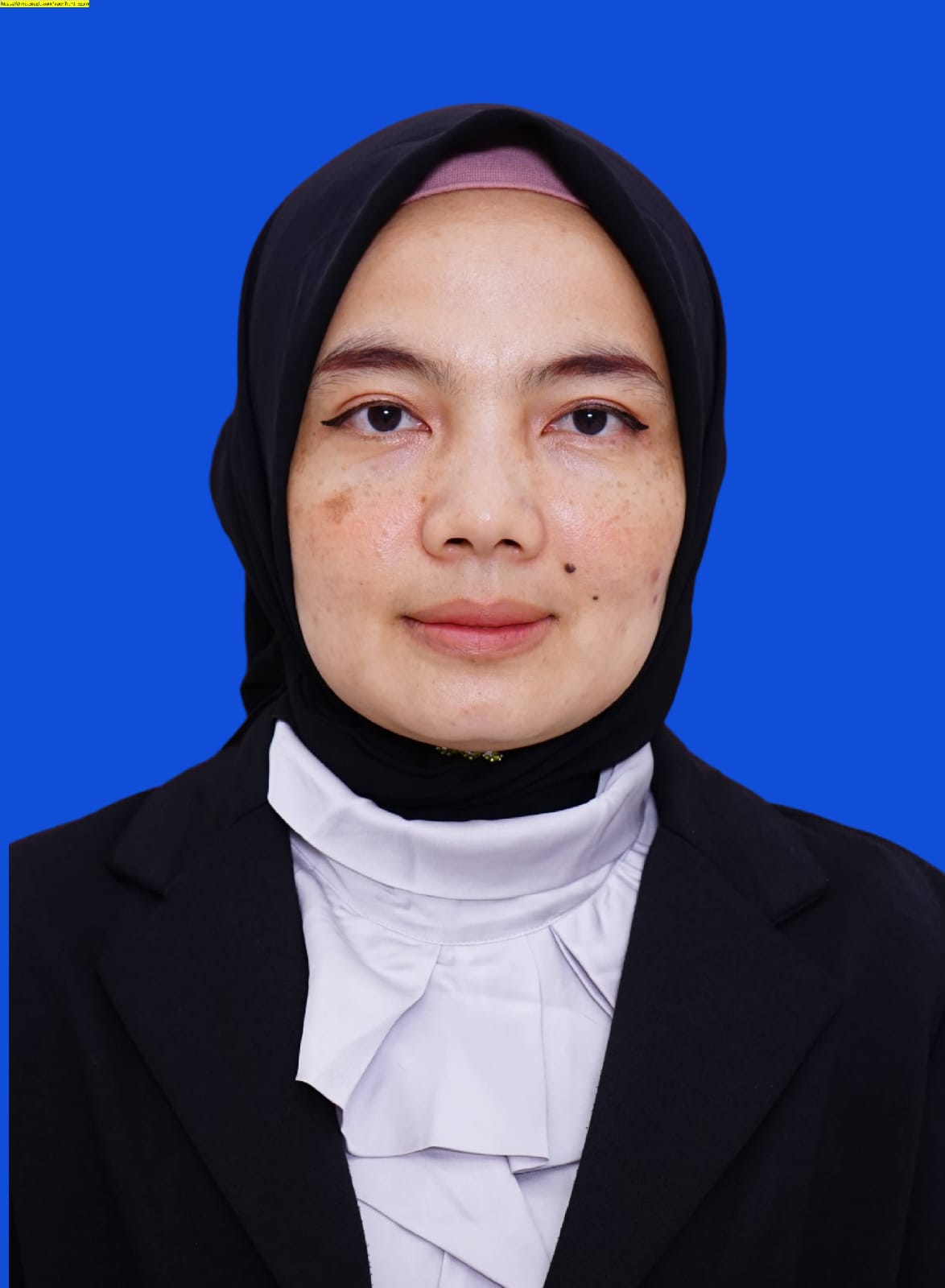 Dr. Sri Wahyuni, S.Kom., M.Kom.